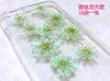 Atacado contas de neve flor renda flor estrela flor rosto maquiagem flor espécime de flor DIY artesanal flor epóxi manicure