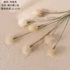 Flores Artificiais de Dente-de-Leão Fabricante Ins Decoração de Casa Buquê de Casamento Parede de Flores de Rosa Flores Falsas Transfronteiriça
