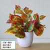 Plantas de Potos Simuladas, Plantas Verdes Falsas, Adornos de Flores Simuladas, Café Internet, Sala de Estar, Dormitorio, Club de Hotel, Adornos de Plástico, Envío Gratis