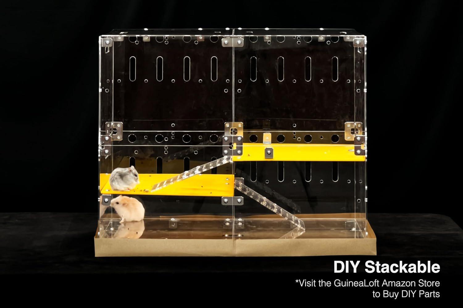 71PbYAiPjHL._AC_SL1500_