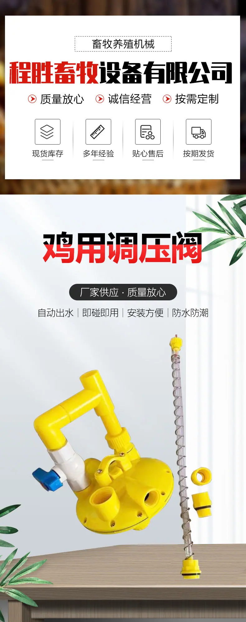 详情_01.jpg