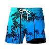2024 Verão Europeu e Americano Cross-border Masculino 3D Digital Impresso Shorts Masculino Juventude Viagem Estilo Havaiano Calças de Praia