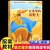 Ganchillo Dorado Libro Sexto Grado Libro Extracurricular Lectura Obligatoria Recomendado por el Maestro Caracteres Grandes Imagen a Color Caracteres Difíciles Versión Fonética Libro