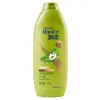 Champú Rejoice Cuidado Diario Doble Acción Anticaspa Control de Grasa Refrescante 170g 360g 750g Mayoreo