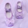 2024 nuevo AliExpress zapatos de baile para niñas suela blanda ejercicio corporal zapatos de garra de gato escenario actuación zapatos de baile 8067