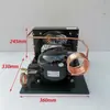 Vitrine Refrigerada a Ar com Resfriamento Direto por Água, Caixa de Laboratório, Vitrine de Armazenamento a Frio, Freezer Refrigerado de Temperatura e Umidade Constantes, Unidade de Refrigeração de Mesa de Gelo