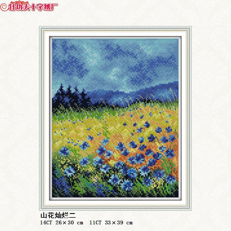 H768 山花灿烂二.jpg