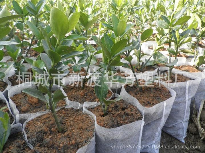 QQ截图20130210160834