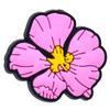 Hebillas de Zapatos Serie Verano Coloridas, Accesorios Desmontables para Zuecos, Decoraciones de Zapatos de Gama Alta para DIY, Accesorios Creativos para Zapatos, Flores para Zapatos