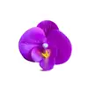 Orquídea Borboleta Cabeça Flor Pequena Flor Artificial, Casamento Casa Fotografia Festa Decoração Externa Ornamentos