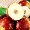 Jujubes de Invierno Shaanxi Dali, entrega directa 2/ 1.5kg Jujubes crujientes, dulces, frescos, caja de regalo de fruta mediana-grande, caja de color, entrega directa desde el huerto, fruta fresca