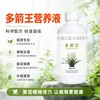 Solución Nutritiva Floral Rey de las Múltiples Flechas: Protección de Raíces, Fortalecimiento de Plántulas y Promoción de Capullos Florales. Fertilizante Universal para Plantas para Orquídeas y Clivias