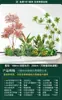 Set de Paisajismo Simulado para Exhibidores de Ventanas Interiores, Decoración de Escaleras, Paisaje de Plantas Verdes Simuladas, Arreglo de Jardín, Adornos de Decoración de Plantas en Maceta