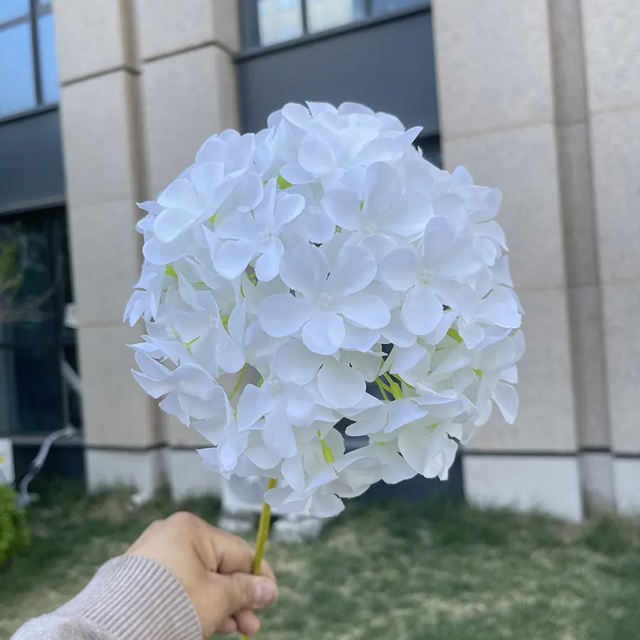 33# 17cm5瓣大如意绣球-wxlsx-白色.JPG