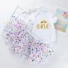 Roupas de Primavera e Outono Transfronteiriças Fantasia de Aniversário de Bebê Conjunto de Vestido Princesa com Tule e Lantejoulas Desenho Animado com Coroa para Bebê Menina