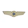 Broche Pilot Piloto Transfronterizo con Forma de Ala, Insignia Metálica Vintage, Abrigo, Mochila, Sombrero, Pin para Ropa, Accesorio