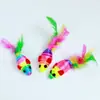 Juguete para Gatos Auto-Placer y Alivio del Aburrimiento Pájaro Artificial Colgante en Puerta Juguete Divertido para Gatos Resistente a Mordidas Sonido Pluma Felpa Juguete para Gatos