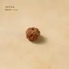 Contas de Semente de Rudraksha de Couro Integral Pequenas, Contas Soltas para Montagem, Contas de Semente de Rudraksha Escovadas à Máquina, Contas de Semente de Rudraksha Amarelo Gengibre em Vários Tamanhos