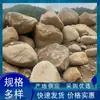 Piedras Naturales de Orilla de Río, Piedras de Orilla de Río, Piedras para Paisajismo de Jardín, Adornos para Césped de Jardín, Piedras de Río, Piedras Decorativas para Villas Exteriores