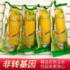 Aspiradora de escoba de jade amarillo ceroso del noreste Empaquetada en blanco Maíz ceroso Comida de desayuno Sustituto de comida Listo para comer Pegajoso Cocido pegajoso
