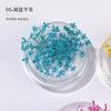 Arte de Unhas Flores Secas Atacado Flor de Renda Celebridade Cibernética Explosões DIY Japonês Pétala Decoração Padrão Unha Pequenos Acessórios