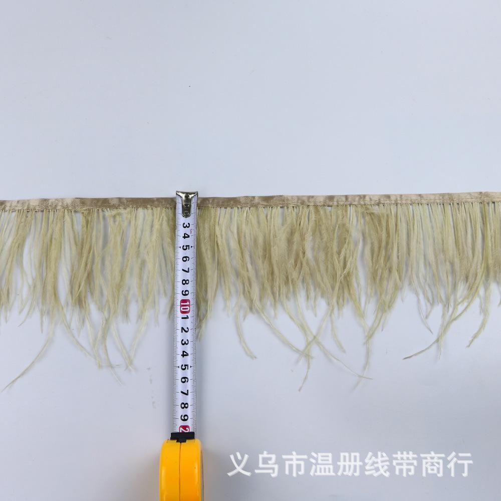 47 ostrich feather fringe 6