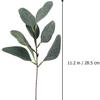 Simulação de estacas de eucalipto transfronteiriço ramo curto eucalipto DIY decoração com folhas de frutas planta verde artificial flor artificial