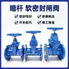 Válvula de Compuerta de Hierro Dúctil Z45X-16Q/P con Sello Suave y Vástago Ascendente Sello Elástico en el Asiento Válvula de Grifo para Agua Corriente Interruptor
