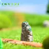Adornos para terrario de musgo, accesorios ecológicos para botellas, tres colores, rocalla de paisajismo, pequeños adornos para macetas de suculentas