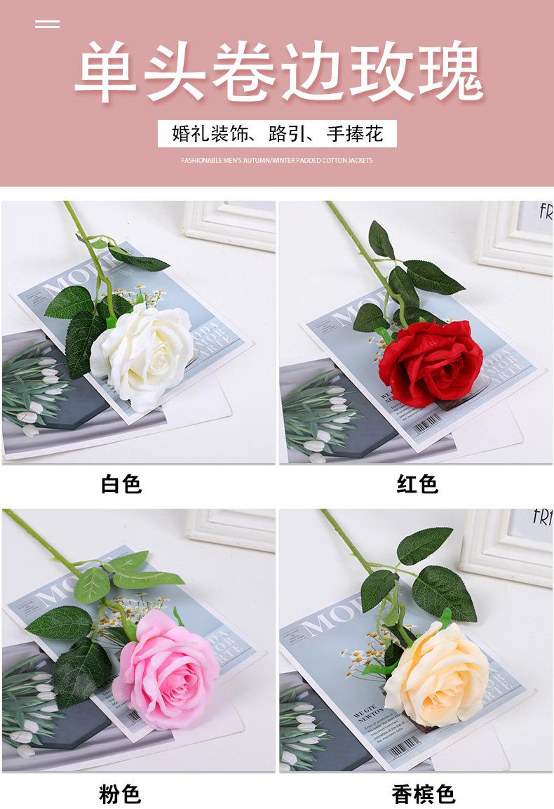 玫瑰_01.jpg