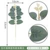 Planta de simulação Yaoyuan flor de eucalipto única acessórios de arte material de micro correspondência flor de simulação chestriana