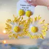 Brincos de Prata com Flores e Franjas Estilo Super Fada para Primavera e Verão, Versáteis e Estilosos, Brincos Doces e de Alto Padrão