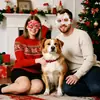 Gafas Navideñas Transfronterizas para Adultos y Niños, Regalos de Navidad, Tela Estampada en Oro, Caja de Regalo de Árbol de Navidad, Monturas de Gafas para Fiesta