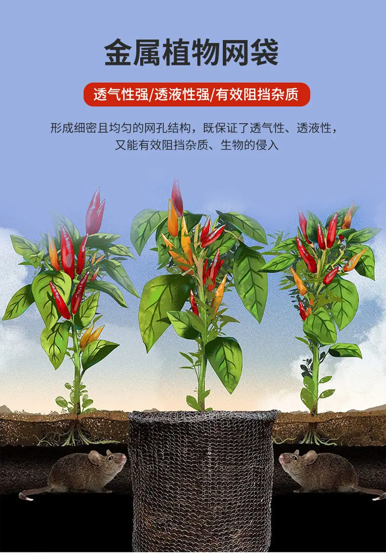 金属植物网袋_02(1).jpg