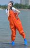 Pantalones de Agua para Padres e Hijos Mar Playa Camarones Peces Pantalones de Agua Pantalones para Vadear Pantalones de Agua para Niños Pantalones de Agua para Adultos