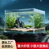 Acuario de cristal ultra claro Jinjing personalizado, tanque cuadrado, tanque para tortugas de sala de estar pequeño y grande multtamaño, tanque vacío, acuario