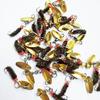 Lantejoulas Rotativas Fly Anzol Nano Modificado Anel Oito Branco Listrado Boca de Cavalo Boca Torcida Isca de Pesca Micro-Objeto