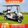 Carrinho de Golfe Personalizado 2-10 Lugares Ponto Turístico Carro de Passeio para Turistas Campus Fábrica Hotel Aeroporto Ônibus de Transferência