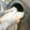 Almofada de Sofá Casual Nova Outono e Inverno Espessada Quente Pelúcia Antiderrapante Almofada Inteiriça de Linha Reta Capa de Tecido para Sofá de Couro