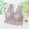 Roupa íntima feminina Live Daifa Renda Beleza nas Costas Sem Aro Reunião Alça Sutiã Anti-deslocamento Leve Envolvente Peitoral Feminino
