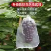 Bolsa de Malla a Prueba de Insectos para Frutas, Engrosada, Anti-Picotazos de Pájaros, a Prueba de Insectos, Duradera, Lavable, Bolsa de Malla Protectora, Transpirable, Ecológica, No Asfixiante