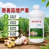 Pontas secas de alho, gengibre e cebolinha, agente anti-amarelamento, anti-apodrecimento de raízes, resistente a doenças e que aumenta a produtividade, especificamente para mudas de alho, e um fertilizante especial para alho-poró, cebolinha, gengibre e alho