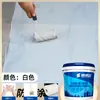 Pintura para Estanques de Peces Baño Pared Exterior Techo Fuga Reparación Piscina Material Pegamento Js