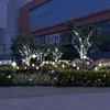 Puntos Fotográficos Emblemáticos Románticos Urbanos, Luces de Estrellas, Iluminación Exterior de Calle, Instalaciones de Iluminación Hechas a Medida