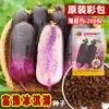 Yuyifu Sorvete Coração de Açúcar Rabanete Fruta Rabanete Fruta Doce e Crocante para Comer Cru Sementes de Rabanete Abacaxi