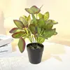 Atacado 7 Galhos 14 Folhas Planta Verde Artificial Pequeno Bonsai Decoração de Janela de Varanda de Sala de Estar Interna Planta Falsa de Plástico Planta em Vaso