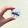 Brinquedo de gato simulado com mosca, bola transparente rolante, autoentretenimento, alivia o tédio, estimula instintos de caça, para brincadeiras interativas internas