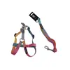 Conjunto de coleira e arreio de nylon bicolor para animais de estimação, direto da fábrica, com fivela de LED para passear com o cachorro