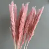 Kit de flores preservadas y secas con temática rosa: incluyendo gipsófila, y otras flores rosadas delicadas para hacer joyería DIY
