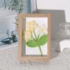 Regalos de Vacaciones para Maestros Terminados Adornos de Marco de Fotos de Girasol Tejidos a Mano Simulación Transfronteriza Decoración de Escritorio para Estudiantes